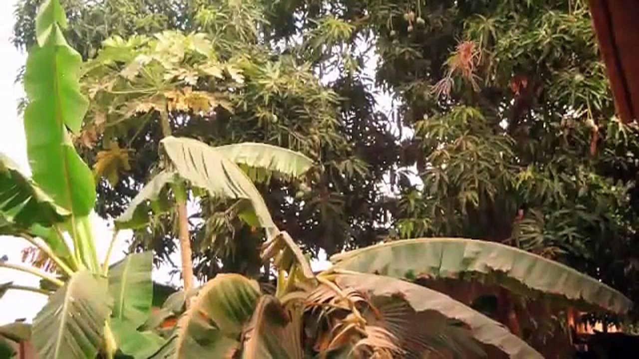 Discover Niger