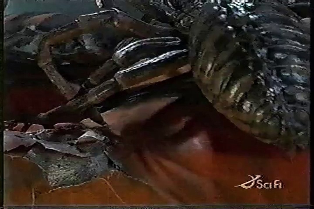 Arachnid(1)