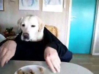 Dinner with the Pet Dog