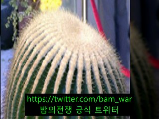 〔강남핸플 러블리〕 ヘ 순천핸플『 밤전 』종로3가핸플