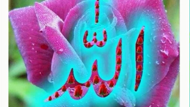 Meda Ishq Vi Tu Kalam Hazrat Baba Farid Ra Shaykh Zulfiqar Ahmad