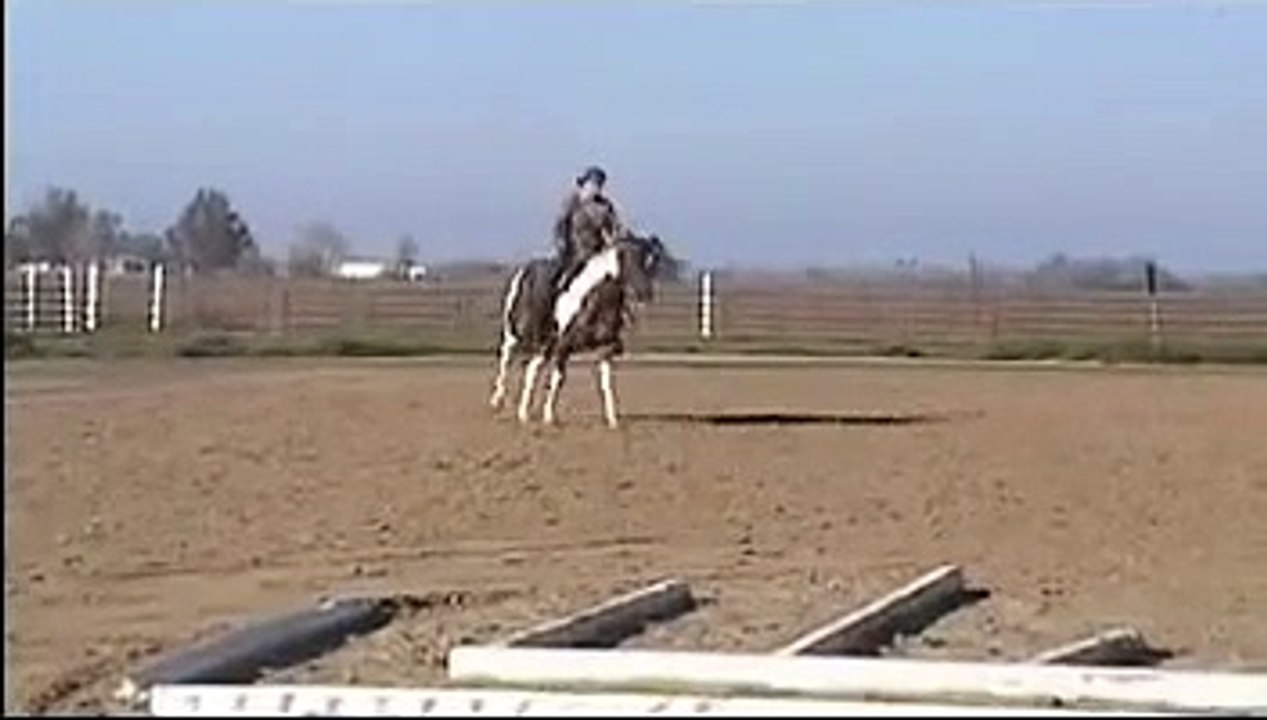 High Lo Country