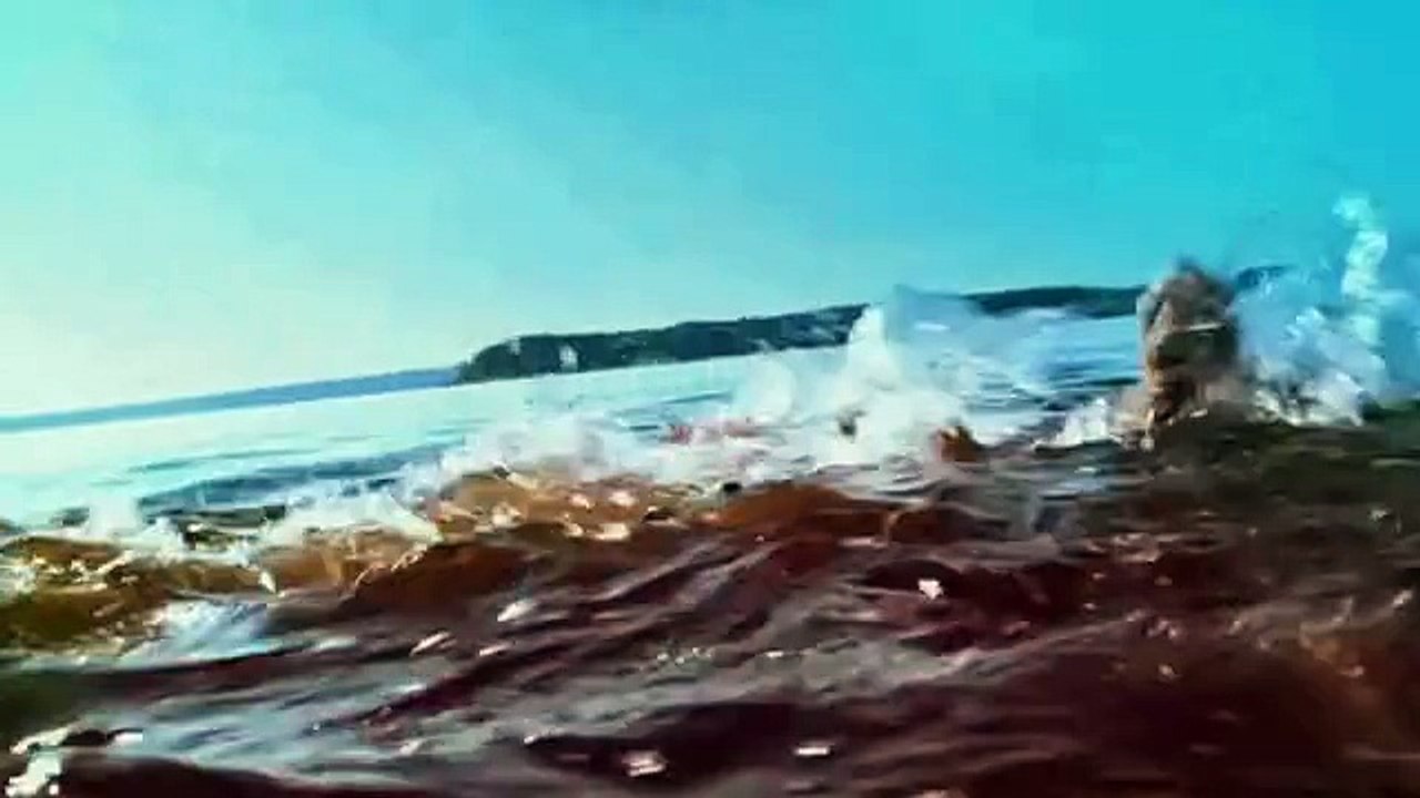 Shark Night 3D All Deaths