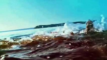 Shark Night 3D All Deaths