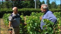 La Bonne Etape - Vignobles de Chenonceau et de Chambord
