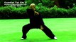 Tai chi combat tai chi chuan fight style use chen tai chi – lesson 2