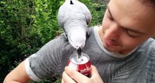 The World's Most Friendly Can Opener