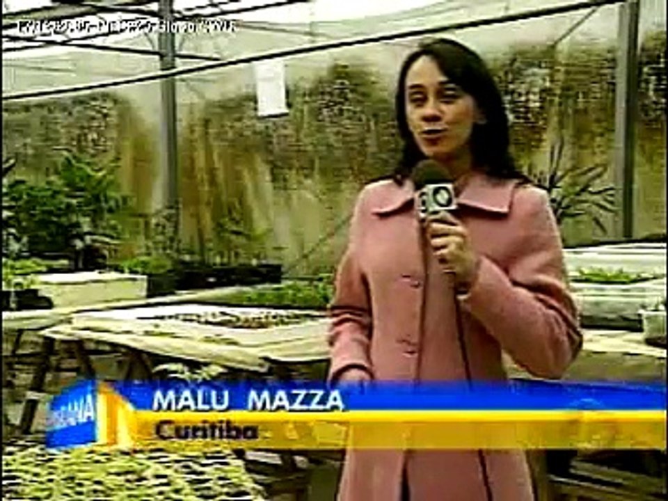 Rinite - sinusite -  Asma - Bronquite - asmazol@hotmail.com (41) 3272-9023 / 8494-5551(oi)