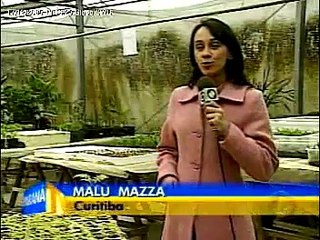 Rinite - sinusite -  Asma - Bronquite - asmazol@hotmail.com (41) 3272-9023 / 8494-5551(oi)