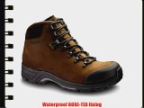 Brasher Fellmaster GTX Mens Walking Boots Earth/Espresso 10 UK UK