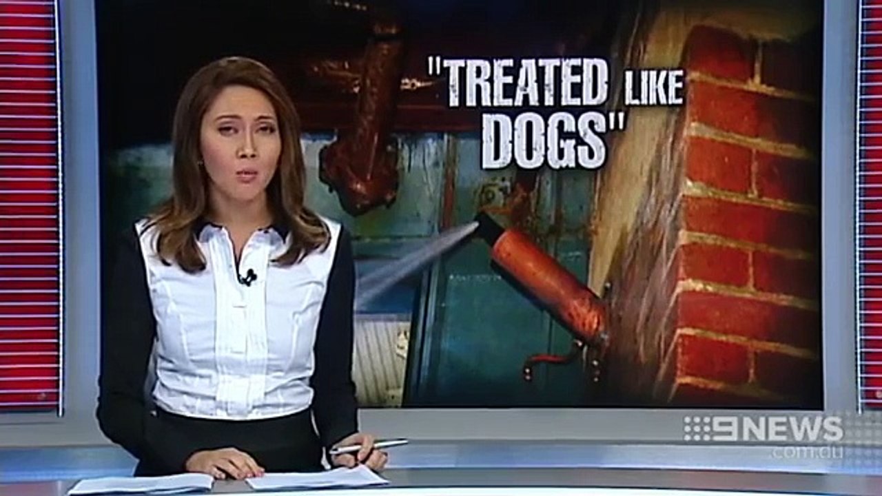 "Treated Like Dogs" | 9 News Perth