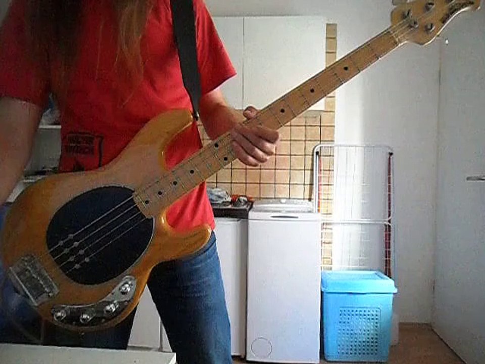 Red Hot Chili Peppers - Soul to Squeeze - Bass Cover