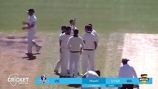 Fawad Ahmed Taken 8 Wickets For 89 Play Domestic In Australia