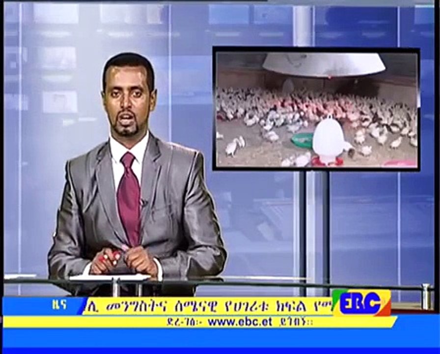 Ebc Ethiopian Amharic Day News June 21, 2015