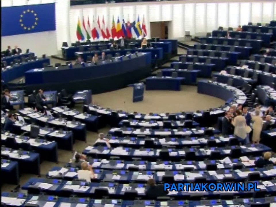 Le salut nazi d'un eurodéputé au Parlement