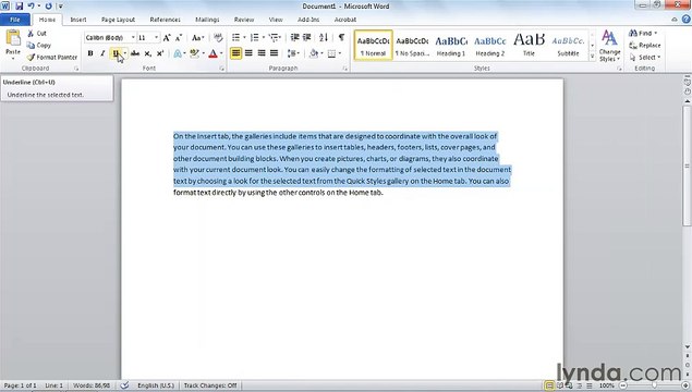 MS Word Changing Word options