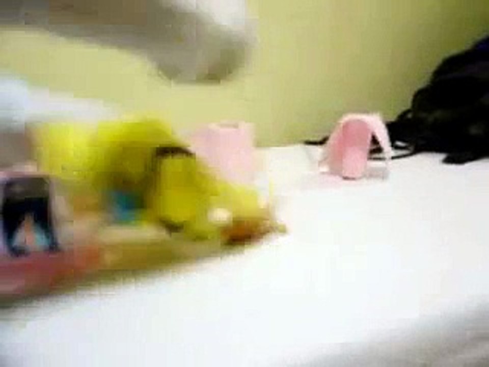 Choco BN  : Avec Testicouille et sa testibatte !