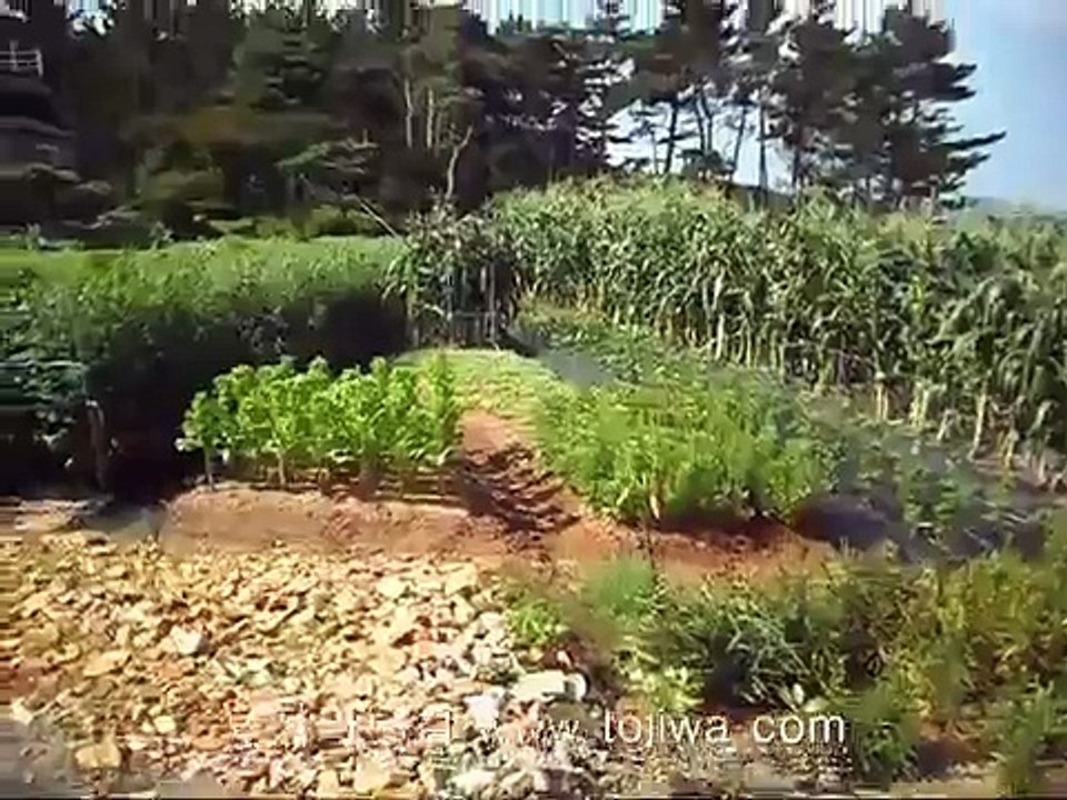 충남 태안군 조경이 좋은 전원주택매매
