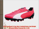 Puma Evospeed 5.3 Ag Men's Football Boots Red (Bright Plasma/White/Peacoat 03) 7.5 UK