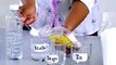 Experiment Biology: Osmosis in Plant Tissues | biology experiments high school, | biology lab