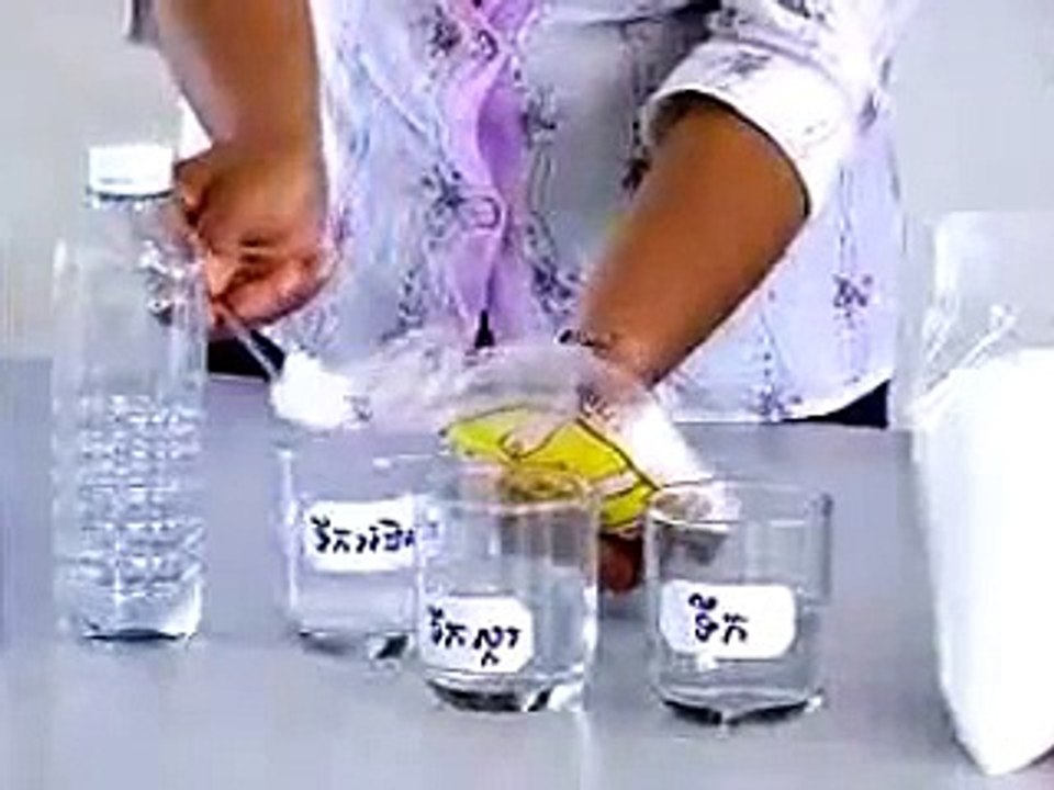 Experiment Biology: Osmosis in Plant Tissues | biology experiments high school, | biology lab
