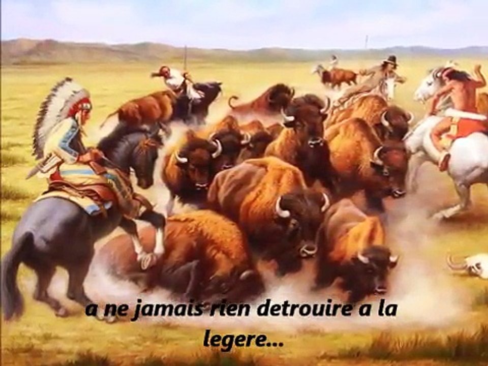 The hunting Buffalo
