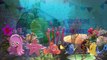 Finding Nemo Finger Family Songs | Finger Family Fish Cartoon Animation Nursery Rhymes for