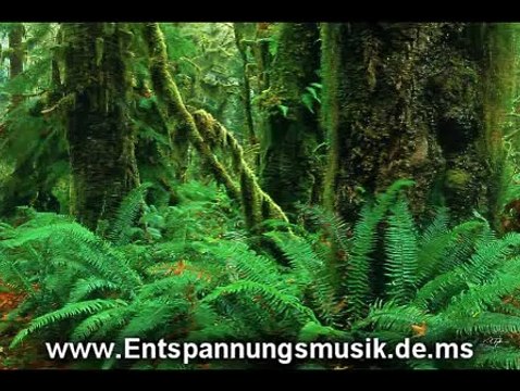 Entspannungsmusik Natur Naturgeräusche