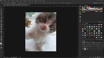Efeito desfoque (Photoshop tutorial)