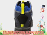 Hi-Tec Mens Bryce WP Trekking and Hiking Boots 0001679 Charcoal/Royal Blue/Limoncello 10 UK
