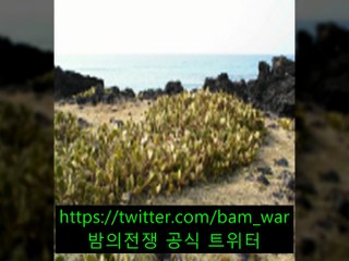 -역삼립카페 스폰지 - ッ 신연수립카페◁ 밤워 ▷보문립카페