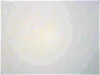 AP Euro Song Project Thing