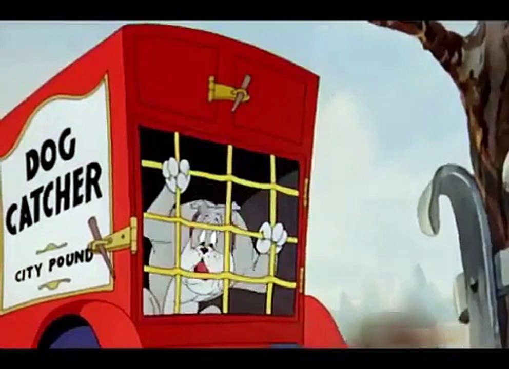 Tom and Jerry Cartoon - The Million Dollar Cat