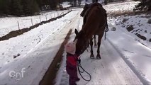Emma and Cinnamon  Little Girl and Horse Are Best Friends