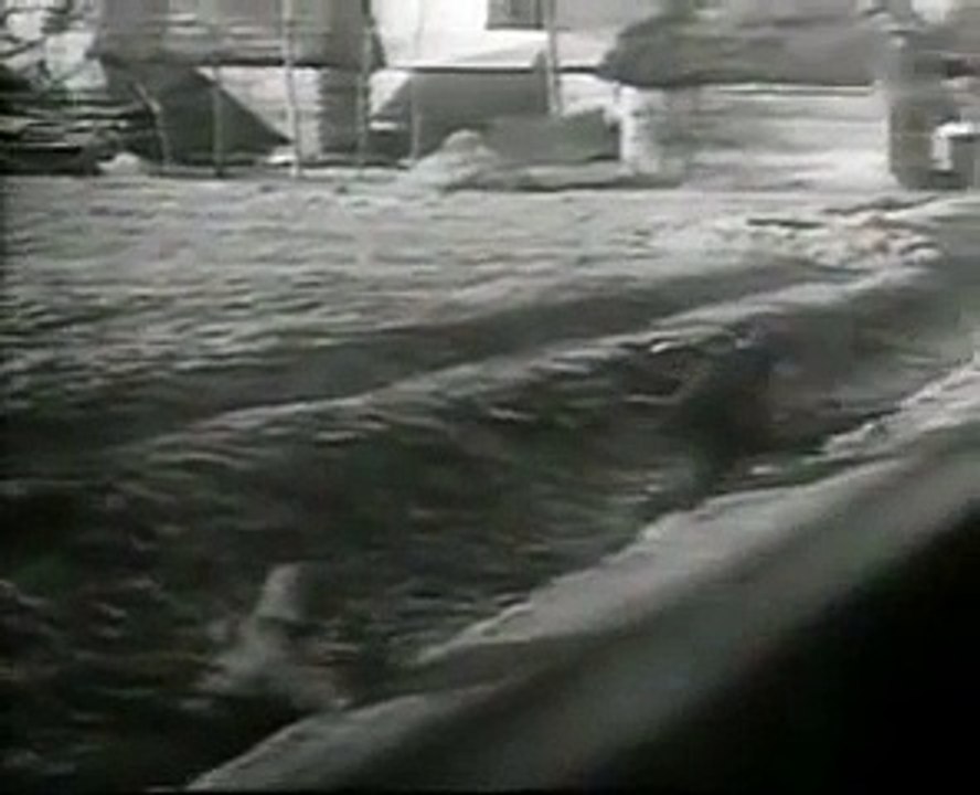 Newsreel footage from WW2 eastern front January 1945