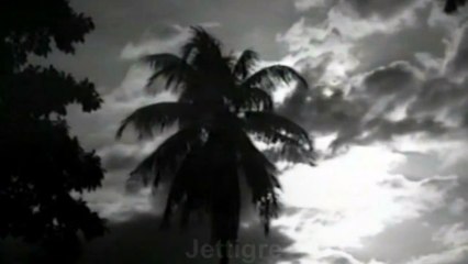 Joan Jett - Have You Ever Seen The Rain