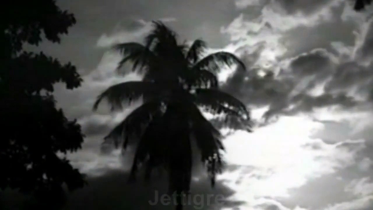 Joan Jett - Have You Ever Seen The Rain