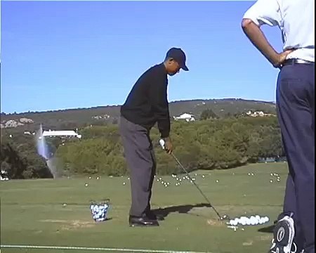 tiger woods golf swing