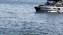 Turkey - 3 of 81 - Istanbul - Bosphorus Boat Tour (boğaz turu) - Watching Dolphins