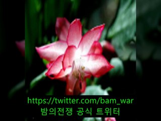 별내립카페▷ 밤전 ◁선릉립카페 쭈쭈바 ラ 「홍성립카페」