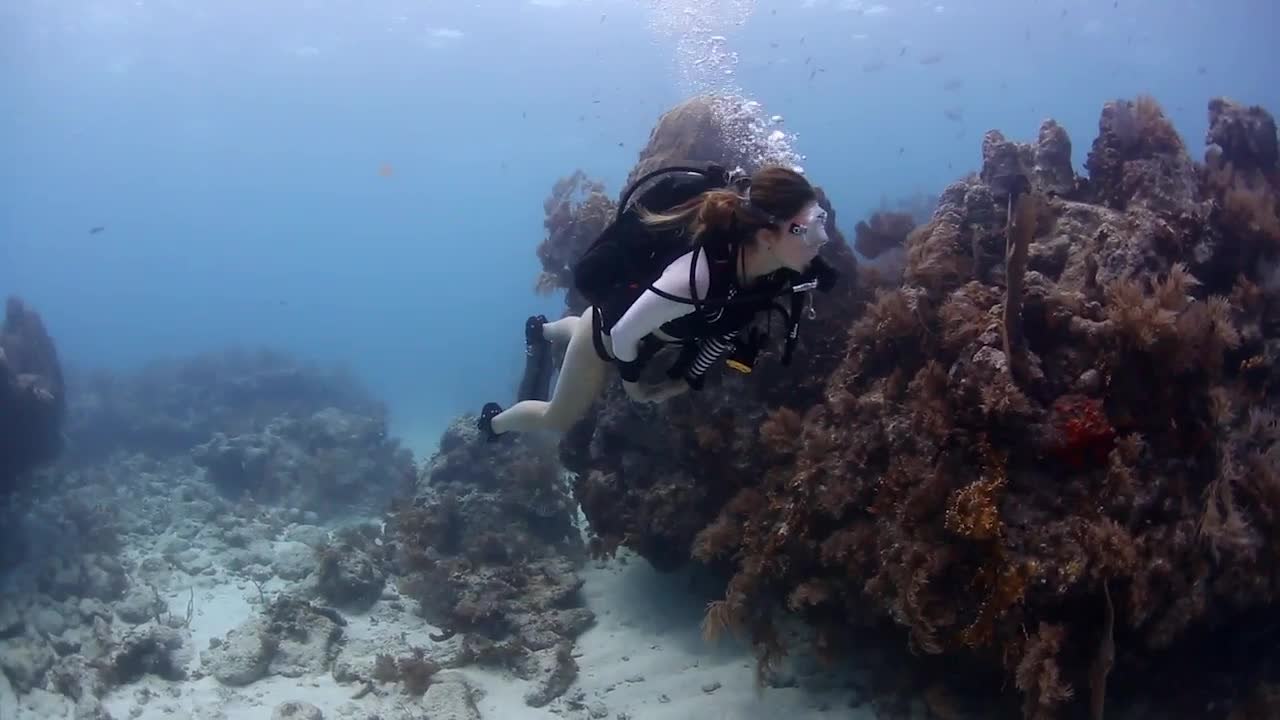 ScubaLab TV: Dive Rite Transpac XT BC