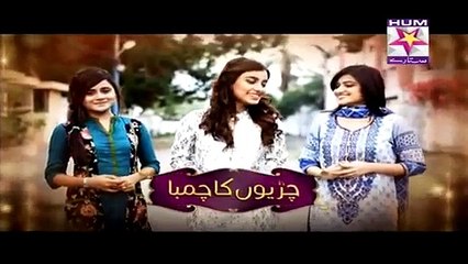 Chirryon Ka Chamba Episode 51 Full Part