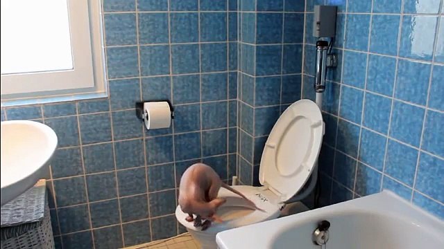 Katze geht aufs Klo. Automatische WC-Spülung selber bauen. Cat using toilet.