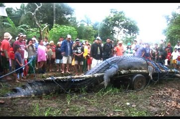 21 Feet Crocodile 'LoLong' Dies