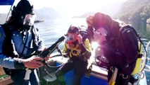 Sharks Of The Shadowland: Divers Attempt to Tag Sevengill Sharks | Shark Week 2015