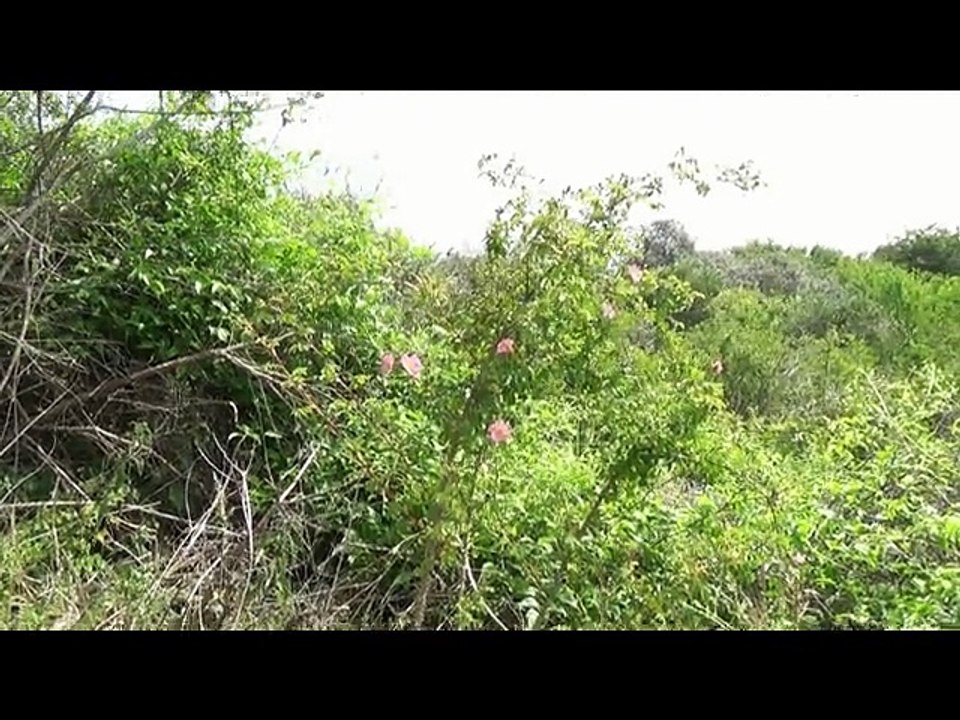 2015-07 Reportage Dune Marchand