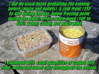 Carp Live! Line Aligner 2