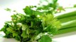 health benefits of celery - Health Tips - quick health