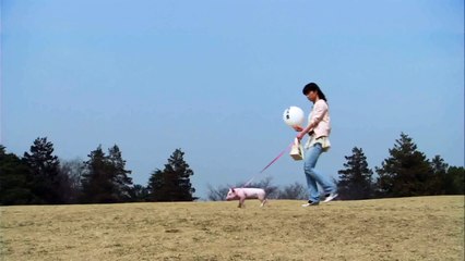 アディーレ法律事務所　TVCM「ペット編」15秒バージョン